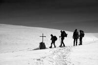 Краят на пътеката; comments:6