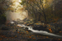 Докато есента отминава…; comments:8