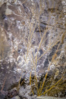 Air; Коментари:4