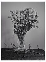 no name ( ID=2578400 ); comments:1