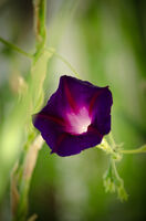 no name ( ID=2578423 ); comments:4