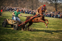 В устрем към финала; comments:5