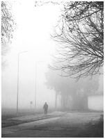 no name ( ID=2578485 ); comments:3