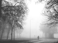 без име ( ID=2578487 ); Коментари:9