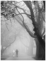 no name ( ID=2578495 ); comments:16