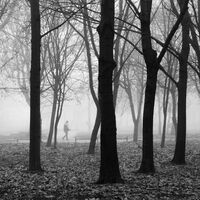 без име ( ID=2578501 ); Коментари:5