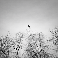 дзен; comments:2