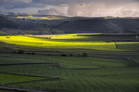 без име ( ID=2578593 ); Коментари:5