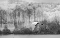 no name ( ID=2578615 ); comments:6