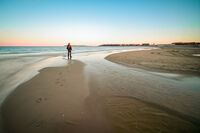 без име ( ID=2578638 ); Коментари:4