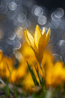 no name ( ID=2578651 ); comments:3