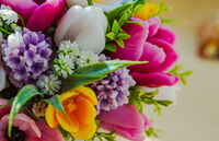 no name ( ID=2578654 ); comments:2