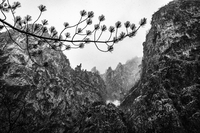 ***; Коментари:2