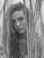 без име ( ID=2578684 ); Коментари:2