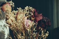 без име ( ID=2578720 ); Коментари:1