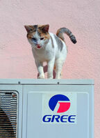 писанка; Коментари:3