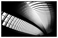 Светлини и сенки...; Коментари:40