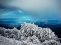 без име ( ID=2578783 ); Коментари:4