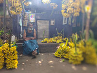 без име ( ID=2578790 ); Коментари:1