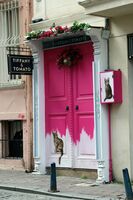 ***; Коментари:4