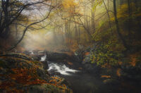 без име ( ID=2578811 ); Коментари:4