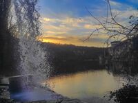 без име ( ID=2578826 ); Коментари:3