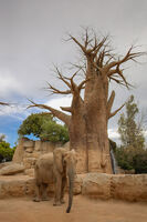 без име ( ID=2578828 ); Коментари:5