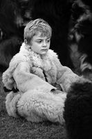 в края на работния ден; Коментари:6