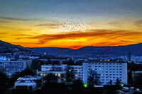 Шумен-привечер; Коментари:1