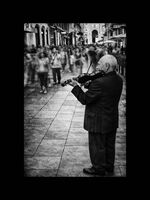 без име ( ID=2578910 ); Коментари:5