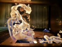 Огънят; Коментари:1