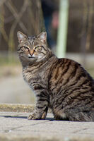 no name ( ID=2578927 ); comments:2