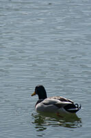 no name ( ID=2578928 ); comments:1