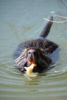 no name ( ID=2578929 ); comments:3