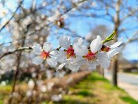 без име ( ID=2578981 ); Няма коментари