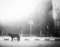 no name ( ID=2579014 ); comments:15