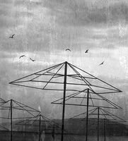 no name ( ID=2579038 ); comments:25