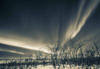 Северното сияние в монохромни цветове; Коментари:6
