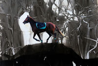 Сън; Коментари:1