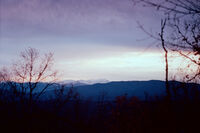 * * *; Няма коментари