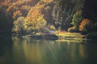 без име ( ID=2579118 ); Коментари:5