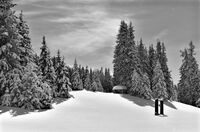 Имало едно време...; Коментари:2