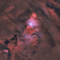 без име ( ID=2579172 ); Коментари:9