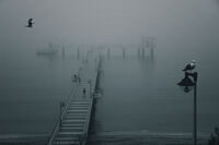 no name ( ID=2579181 ); comments:7