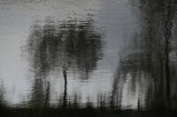 Импресия върху вода; Коментари:10