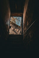 Нагоре към светлината; No comments