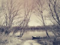 без име ( ID=2579282 ); Коментари:17