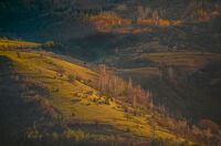 no name ( ID=2579294 ); comments:3