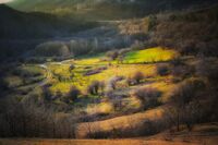 no name ( ID=2579318 ); comments:10