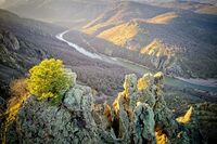 Златна Арда; Коментари:4